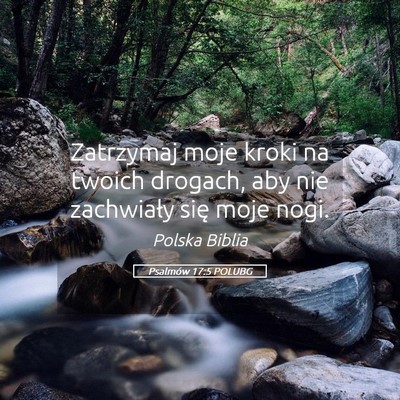 Picture 05 - Psalmów 17:5 POLUBG - Zatrzymaj moje kroki na twoich drogach, aby nie - Bible Verse Picture