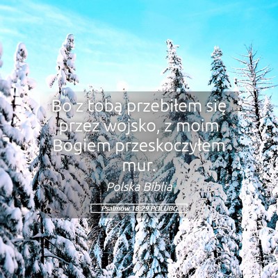Picture 05 - Psalmów 18:29 POLUBG - Bo z tobą przebiłem się przez wojsko, z moim - Bible Verse Picture