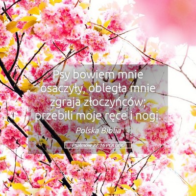 Picture 05 - Psalmów 22:16 POLUBG - Psy bowiem mnie osaczyły, obległa mnie zgraja - Bible Verse Picture