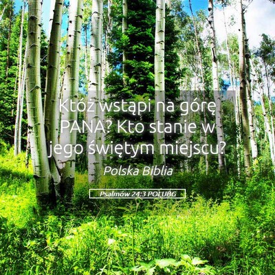 Picture 05 - Psalmów 24:3 POLUBG - Któż wstąpi na górę PANA? Kto stanie w jego - Bible Verse Picture