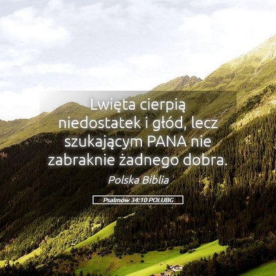Picture 05 - Psalmów 34:10 POLUBG - Lwięta cierpią niedostatek i głód, lecz - Bible Verse Picture