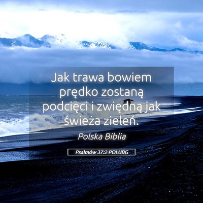 Picture 05 - Psalmów 37:2 POLUBG - Jak trawa bowiem prędko zostaną podcięci i - Bible Verse Picture