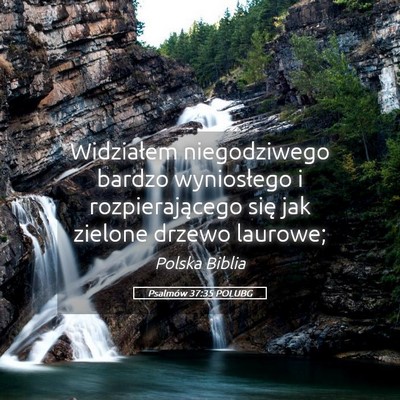 Picture 05 - Psalmów 37:35 POLUBG - Widziałem niegodziwego bardzo wyniosłego i - Bible Verse Picture