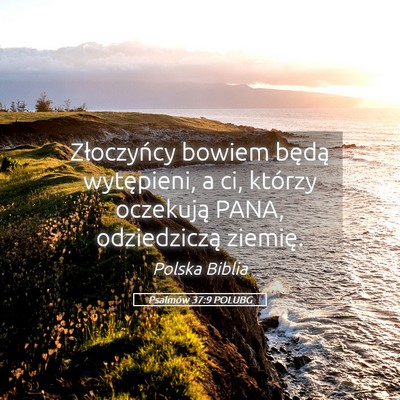 Picture 05 - Psalmów 37:9 POLUBG - Złoczyńcy bowiem będą wytępieni, a ci, - Bible Verse Picture