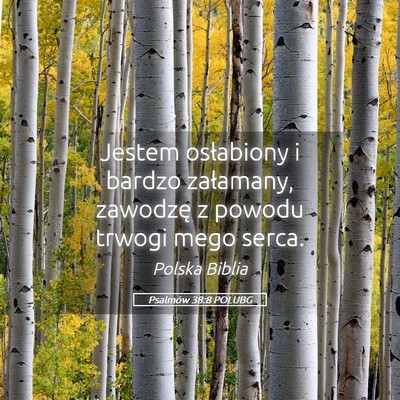 Picture 05 - Psalmów 38:8 POLUBG - Jestem osłabiony i bardzo załamany, zawodzę z - Bible Verse Picture