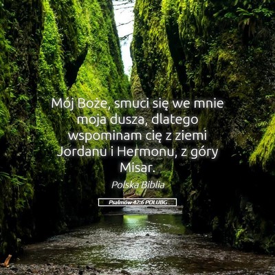 Picture 05 - Psalmów 42:6 POLUBG - Mój Boże, smuci się we mnie moja dusza, - Bible Verse Picture