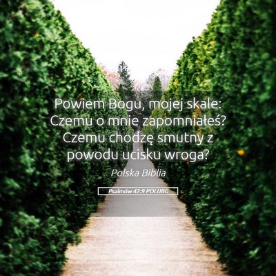 Picture 05 - Psalmów 42:9 POLUBG - Powiem Bogu, mojej skale: Czemu o mnie - Bible Verse Picture