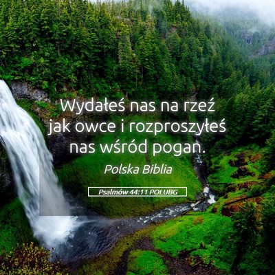Picture 05 - Psalmów 44:11 POLUBG - Wydałeś nas na rzeź jak owce i rozproszyłeś - Bible Verse Picture