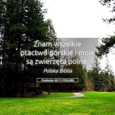 Picture 05 - Psalmów 50:11 POLUBG - Znam wszelkie ptactwo górskie i moje są - Bible Verse Picture