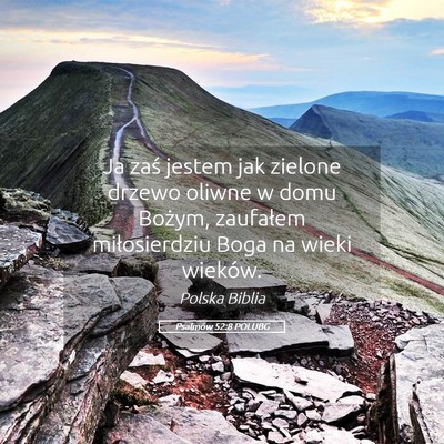 Picture 05 - Psalmów 52:8 POLUBG - Ja zaś jestem jak zielone drzewo oliwne w domu - Bible Verse Picture