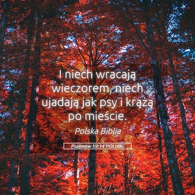 Picture 05 - Psalmów 59:14 POLUBG - I niech wracają wieczorem, niech ujadają jak - Bible Verse Picture