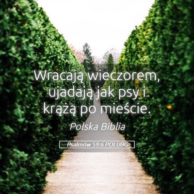 Picture 05 - Psalmów 59:6 POLUBG - Wracają wieczorem, ujadają jak psy i krążą - Bible Verse Picture