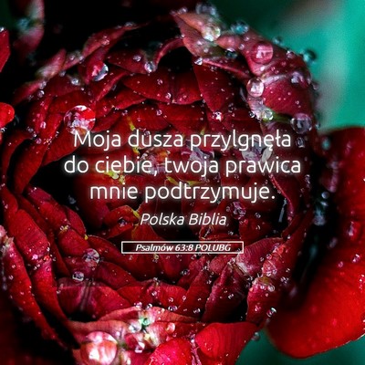 Picture 05 - Psalmów 63:8 POLUBG - Moja dusza przylgnęła do ciebie, twoja prawica - Bible Verse Picture