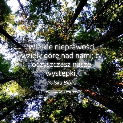 Picture 05 - Psalmów 65:3 POLUBG - Wielkie nieprawości wzięły górę nad nami; ty - Bible Verse Picture