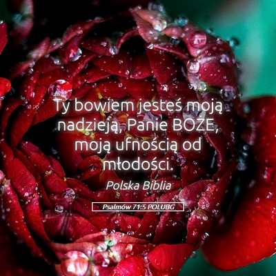 Picture 05 - Psalmów 71:5 POLUBG - Ty bowiem jesteś moją nadzieją, Panie BOŻE, - Bible Verse Picture