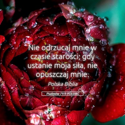Picture 05 - Psalmów 71:9 POLUBG - Nie odrzucaj mnie w czasie starości; gdy ustanie - Bible Verse Picture