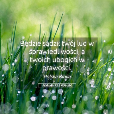 Picture 05 - Psalmów 72:2 POLUBG - Będzie sądził twój lud w sprawiedliwości, a - Bible Verse Picture