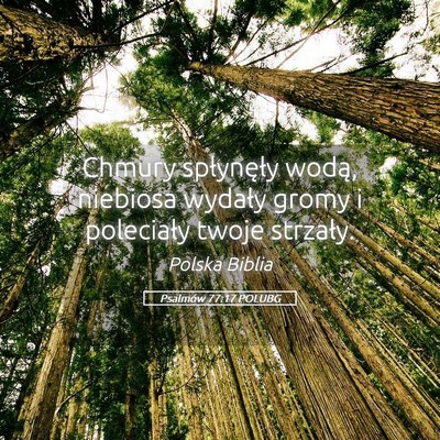 Picture 05 - Psalmów 77:17 POLUBG - Chmury spłynęły wodą, niebiosa wydały gromy - Bible Verse Picture