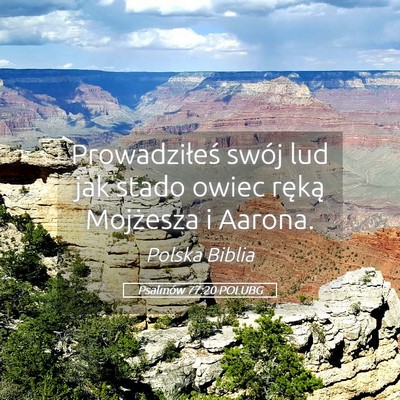 Picture 05 - Psalmów 77:20 POLUBG - Prowadziłeś swój lud jak stado owiec ręką - Bible Verse Picture