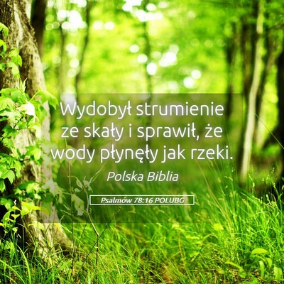Picture 05 - Psalmów 78:16 POLUBG - Wydobył strumienie ze skały i sprawił, że - Bible Verse Picture