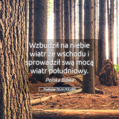 Picture 05 - Psalmów 78:26 POLUBG - Wzbudził na niebie wiatr ze wschodu i - Bible Verse Picture
