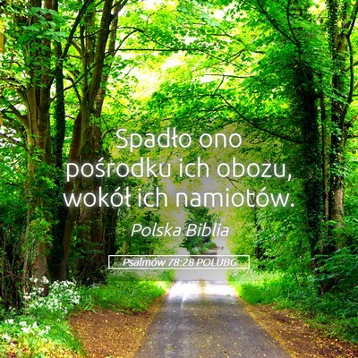 Picture 05 - Psalmów 78:28 POLUBG - Spadło ono pośrodku ich obozu, wokół ich - Bible Verse Picture