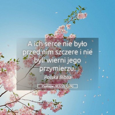 Picture 05 - Psalmów 78:37 POLUBG - A ich serce nie było przed nim szczere i nie - Bible Verse Picture