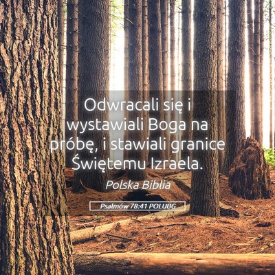 Picture 05 - Psalmów 78:41 POLUBG - Odwracali się i wystawiali Boga na próbę, i - Bible Verse Picture