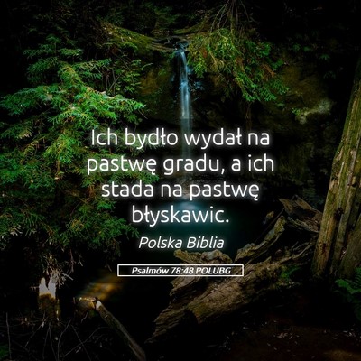 Picture 05 - Psalmów 78:48 POLUBG - Ich bydło wydał na pastwę gradu, a ich stada - Bible Verse Picture