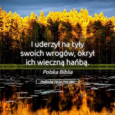 Picture 05 - Psalmów 78:66 POLUBG - I uderzył na tyły swoich wrogów, okrył ich - Bible Verse Picture