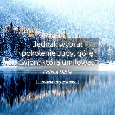 Picture 05 - Psalmów 78:68 POLUBG - Jednak wybrał pokolenie Judy, górę Syjon, - Bible Verse Picture