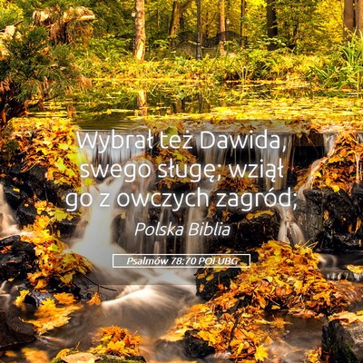 Picture 05 - Psalmów 78:70 POLUBG - Wybrał też Dawida, swego sługę; wziął go z - Bible Verse Picture