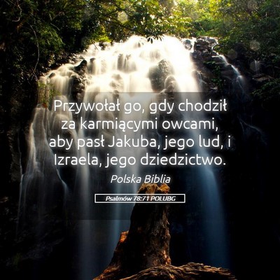 Picture 05 - Psalmów 78:71 POLUBG - Przywołał go, gdy chodził za karmiącymi - Bible Verse Picture