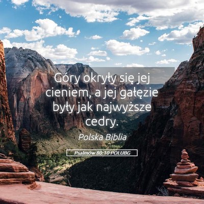 Picture 05 - Psalmów 80:10 POLUBG - Góry okryły się jej cieniem, a jej gałęzie - Bible Verse Picture