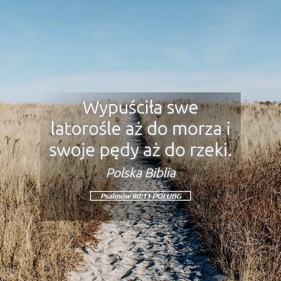Picture 05 - Psalmów 80:11 POLUBG - Wypuściła swe latorośle aż do morza i swoje - Bible Verse Picture