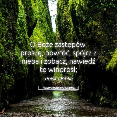 Picture 05 - Psalmów 80:14 POLUBG - O Boże zastępów, proszę, powróć, spójrz z - Bible Verse Picture