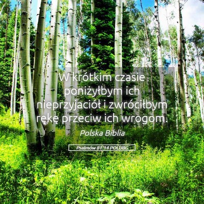 Picture 05 - Psalmów 81:14 POLUBG - W krótkim czasie poniżyłbym ich - Bible Verse Picture