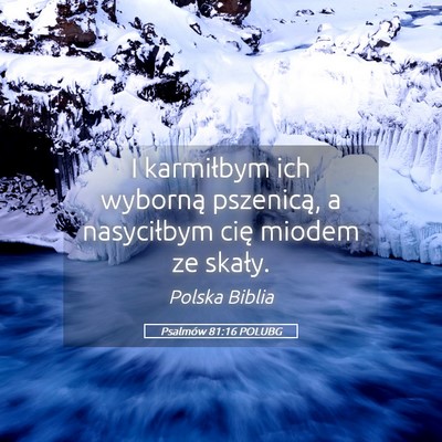 Picture 05 - Psalmów 81:16 POLUBG - I karmiłbym ich wyborną pszenicą, a - Bible Verse Picture