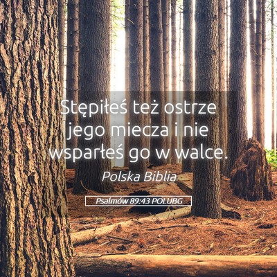 Picture 05 - Psalmów 89:43 POLUBG - Stępiłeś też ostrze jego miecza i nie - Bible Verse Picture