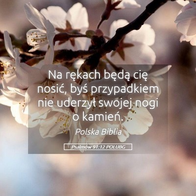 Picture 05 - Psalmów 91:12 POLUBG - Na rękach będą cię nosić, byś przypadkiem - Bible Verse Picture