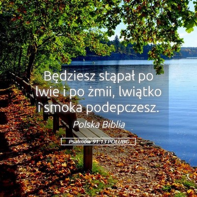 Picture 05 - Psalmów 91:13 POLUBG - Będziesz stąpał po lwie i po żmii, lwiątko i - Bible Verse Picture