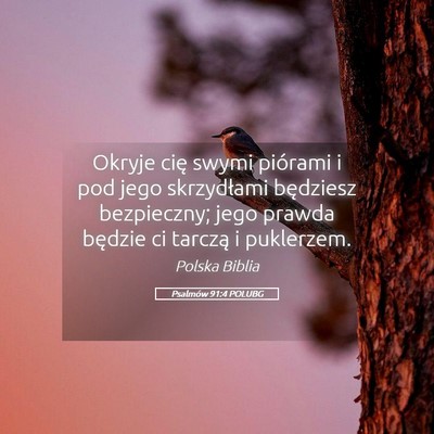 Picture 05 - Psalmów 91:4 POLUBG - Okryje cię swymi piórami i pod jego skrzydłami - Bible Verse Picture
