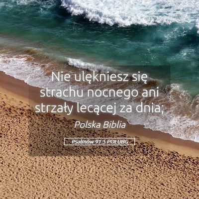 Picture 05 - Psalmów 91:5 POLUBG - Nie ulękniesz się strachu nocnego ani strzały - Bible Verse Picture