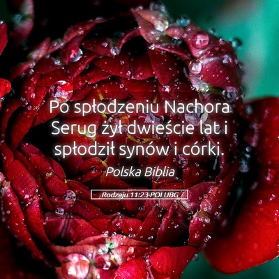 Picture 05 - Rodzaju 11:23 POLUBG - Po spłodzeniu Nachora Serug żył dwieście lat - Bible Verse Picture
