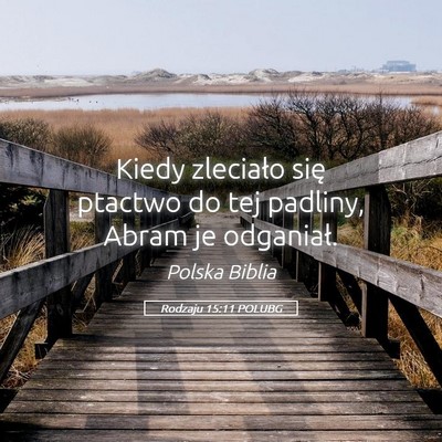 Picture 05 - Rodzaju 15:11 POLUBG - Kiedy zleciało się ptactwo do tej padliny, - Bible Verse Picture