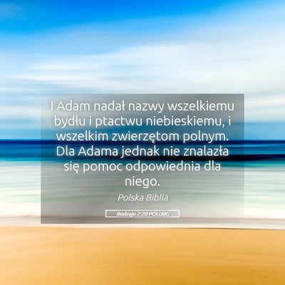 Picture 05 - Rodzaju 2:20 POLUBG - I Adam nadał nazwy wszelkiemu bydłu i ptactwu - Bible Verse Picture