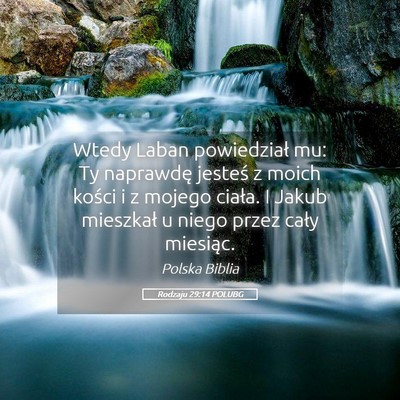 Picture 05 - Rodzaju 29:14 POLUBG - Wtedy Laban powiedział mu: Ty naprawdę jesteś - Bible Verse Picture