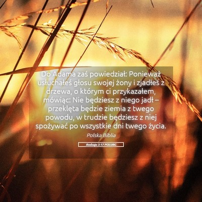 Picture 05 - Rodzaju 3:17 POLUBG - Do Adama zaś powiedział: Ponieważ - Bible Verse Picture