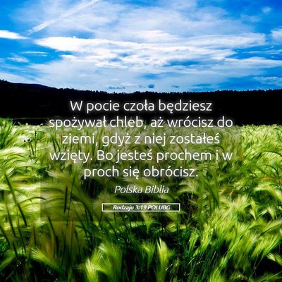 Picture 05 - Rodzaju 3:19 POLUBG - W pocie czoła będziesz spożywał chleb, aż - Bible Verse Picture