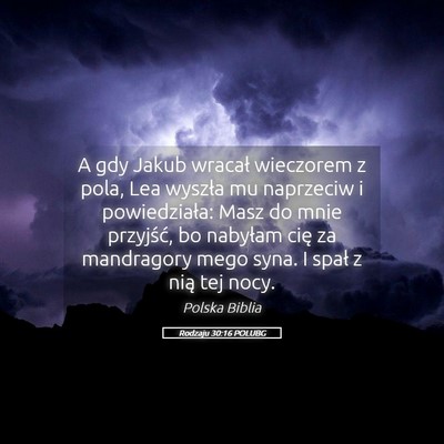Picture 05 - Rodzaju 30:16 POLUBG - A gdy Jakub wracał wieczorem z pola, Lea wyszła - Bible Verse Picture